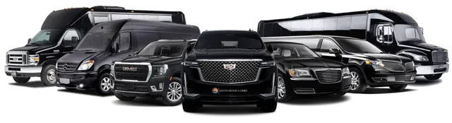 airport limo fleet
